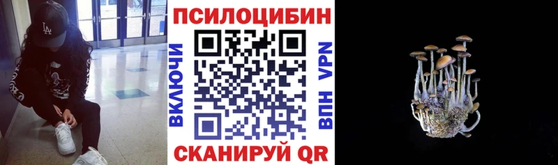 KRAKEN сайт  мориарти телеграм  Ядрин  Псилоцибиновые грибы Psilocybe  даркнет сайт 